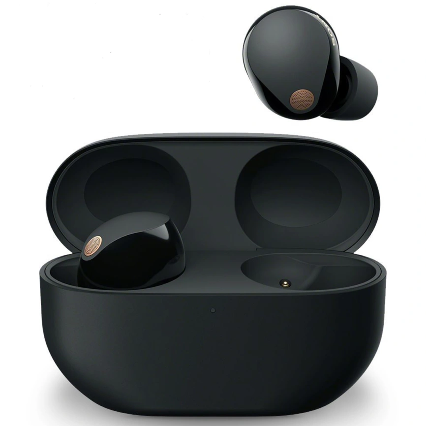 Наушники Sony WF-1000XM5 Black фото 1