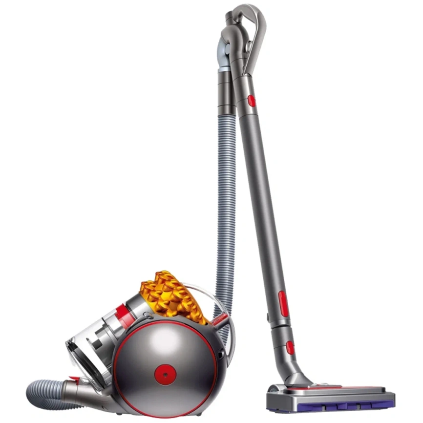 Пылесос Dyson Big Ball Multifloor 2 фото 1